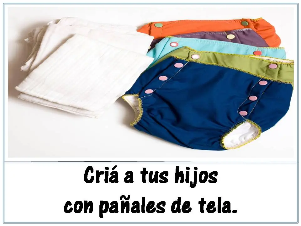medio ambiente