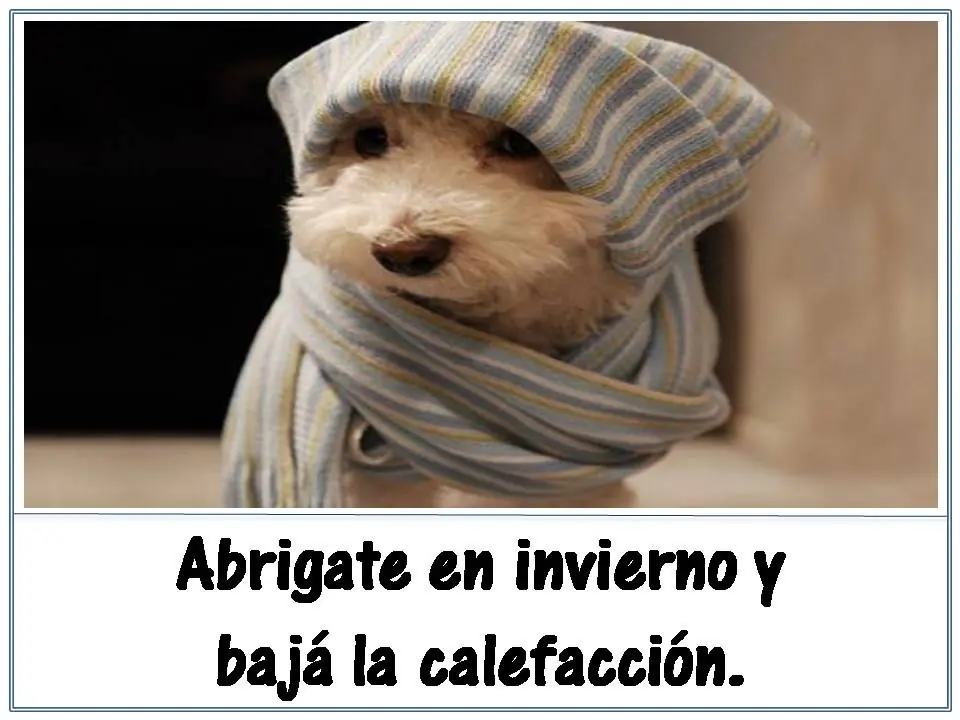 ecologia