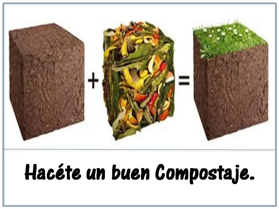 medio ambiente