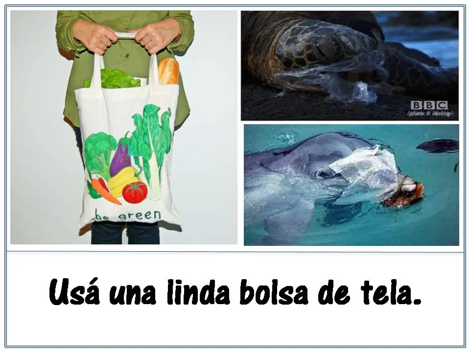 ecologia