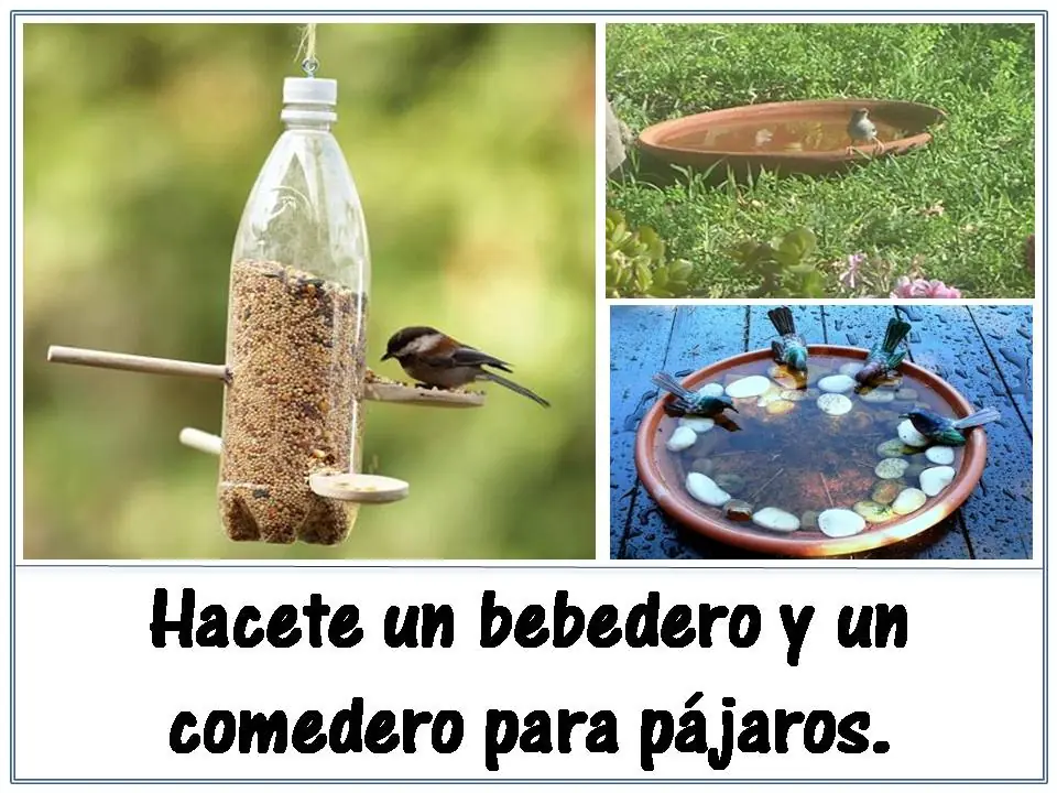 consejos