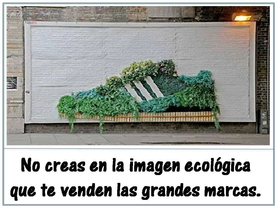 medio ambiente