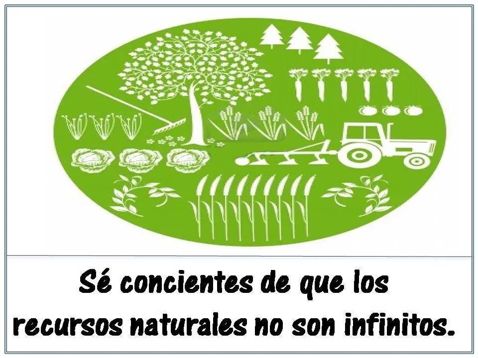 Eco-Consejos para vos! :D