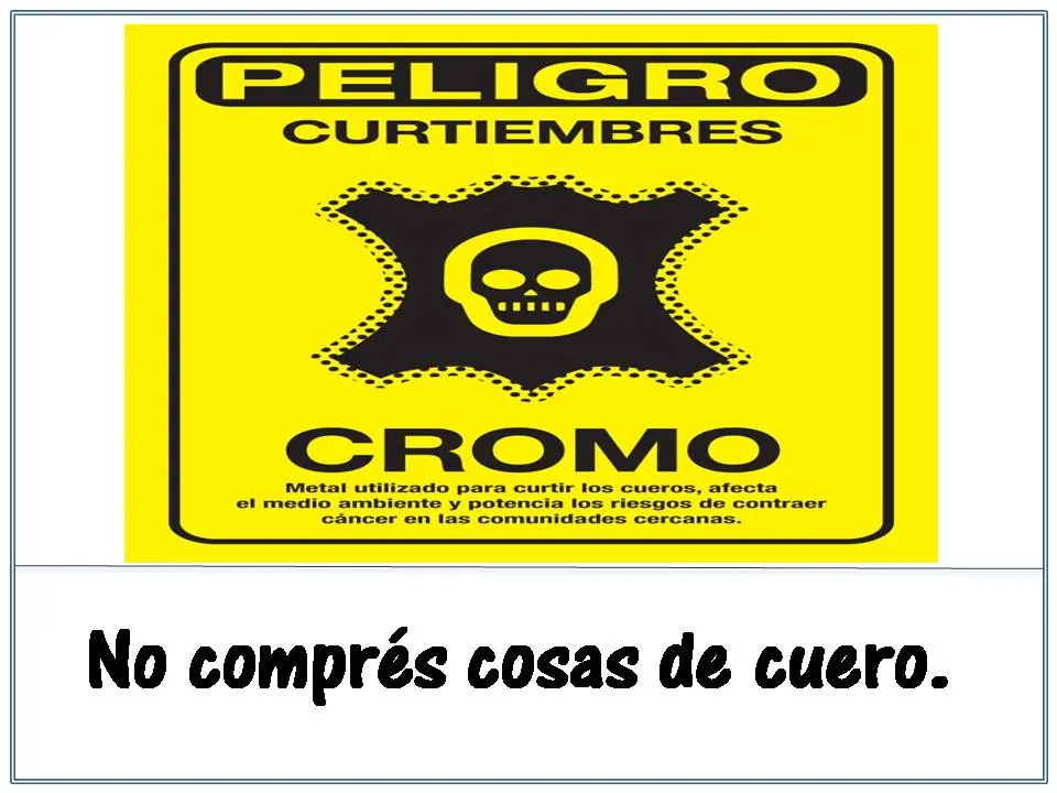 Eco-Consejos para vos! :D