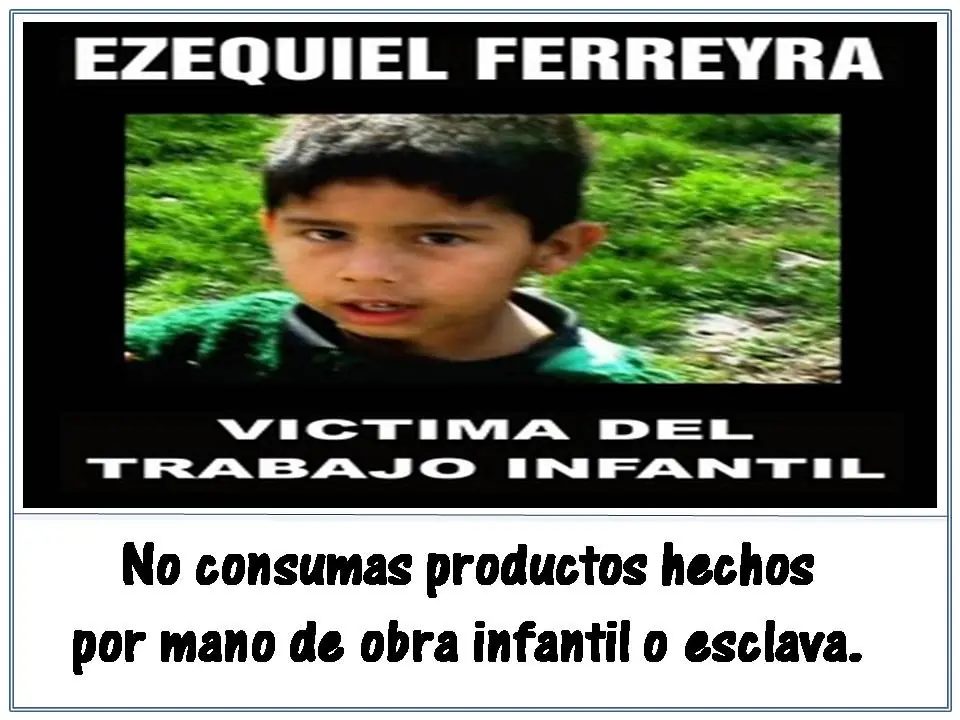 Eco-Consejos para vos! :D