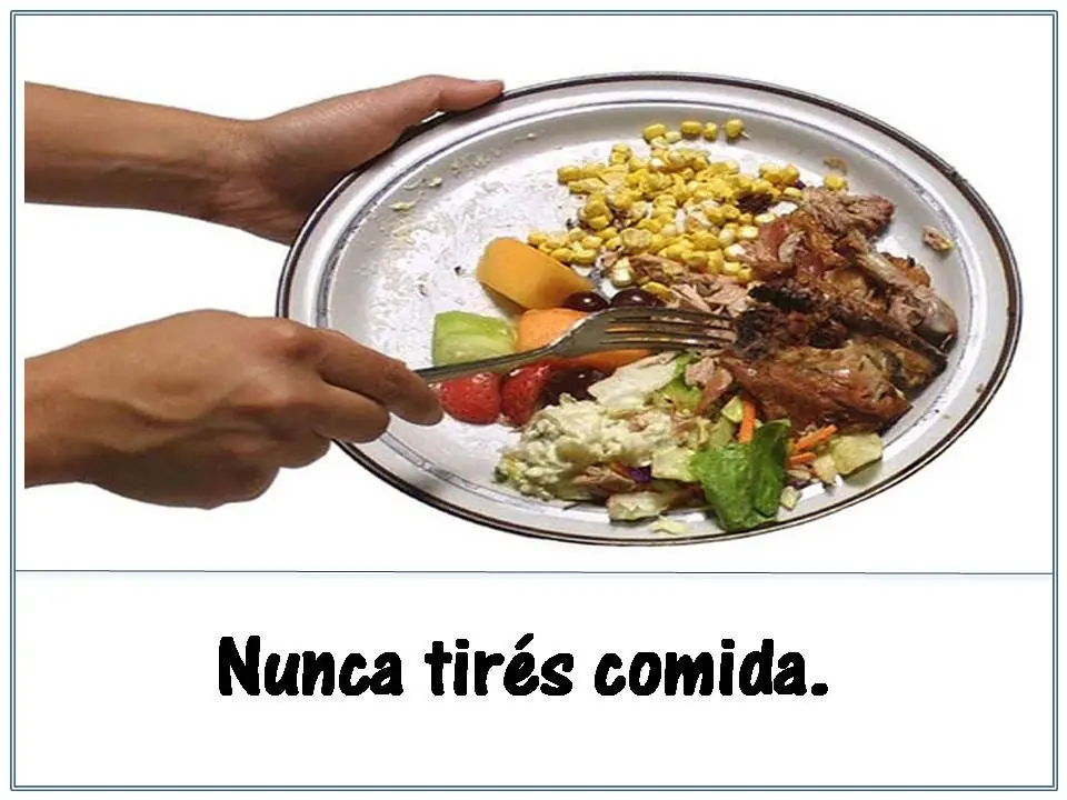 ecologia