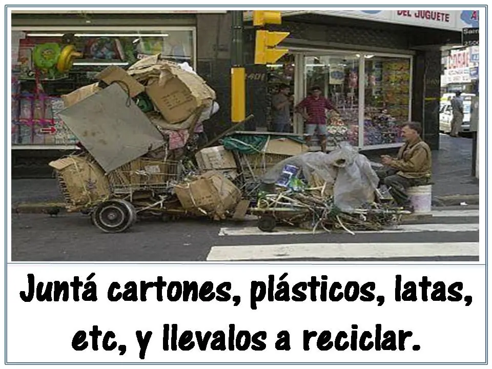ecologia