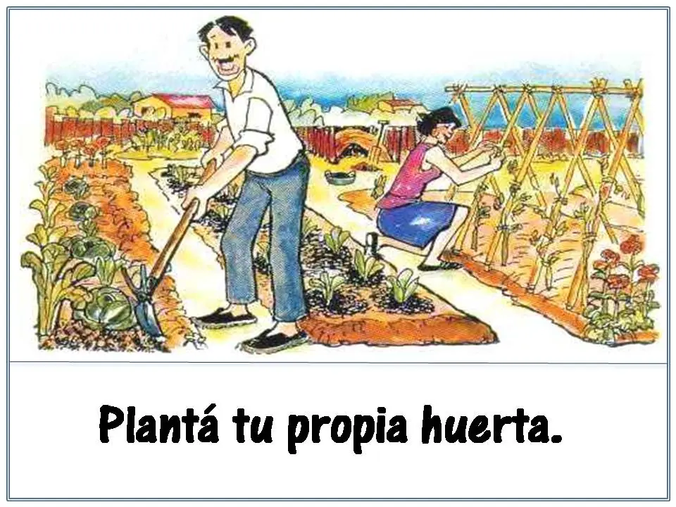 Eco-Consejos para vos! :D