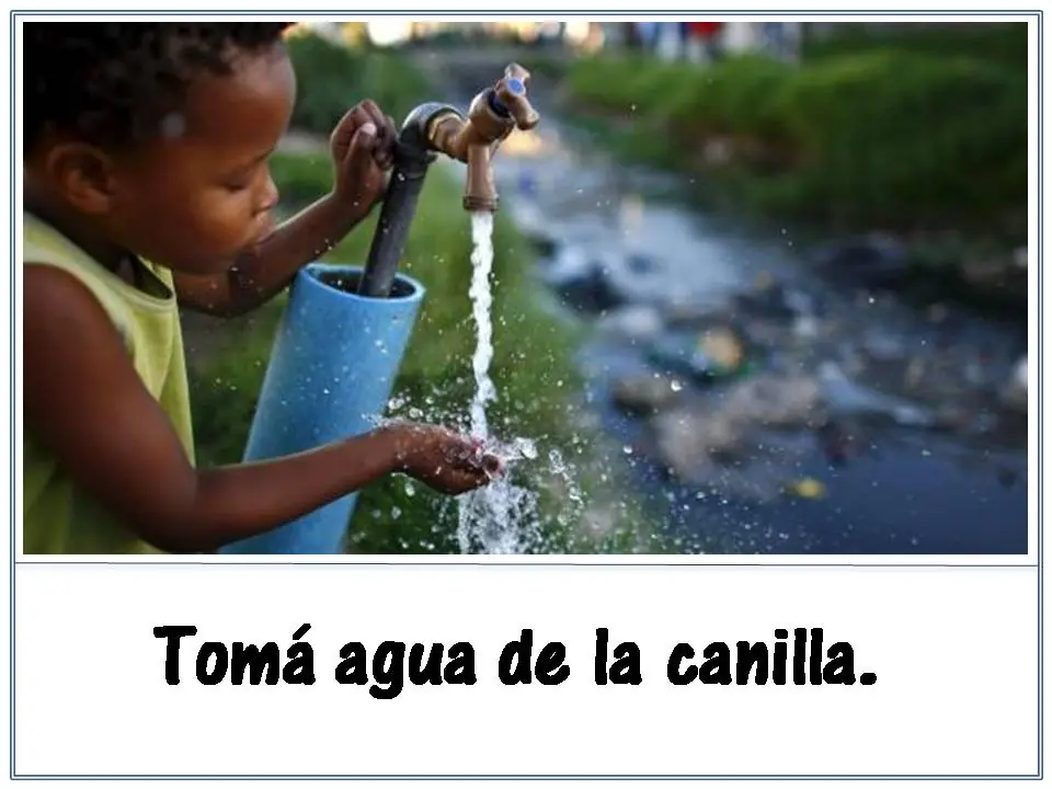 ecologia