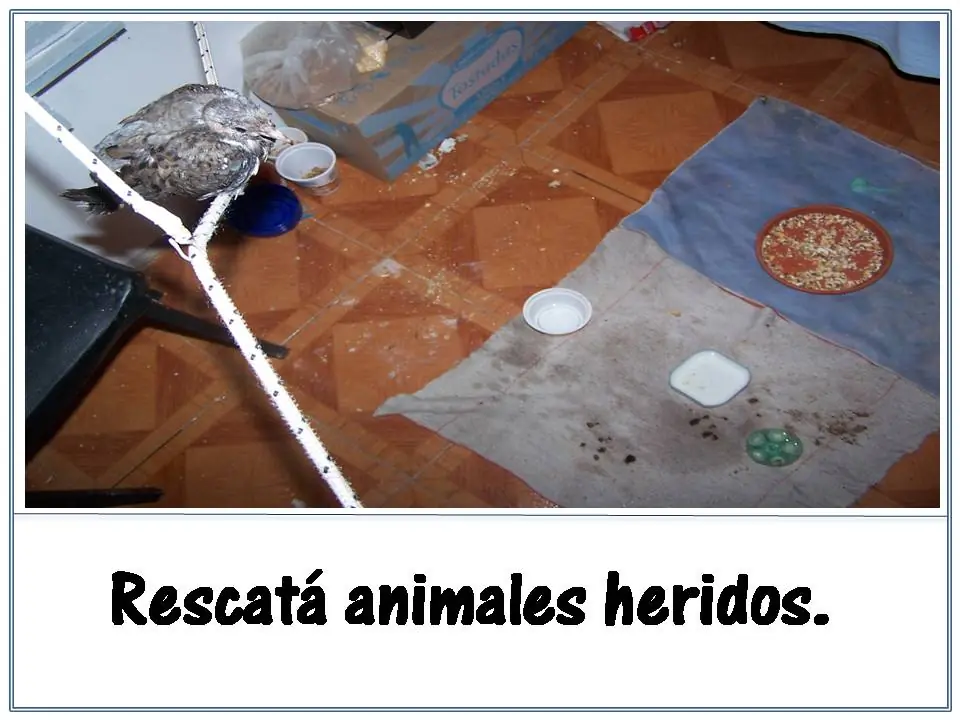 medio ambiente