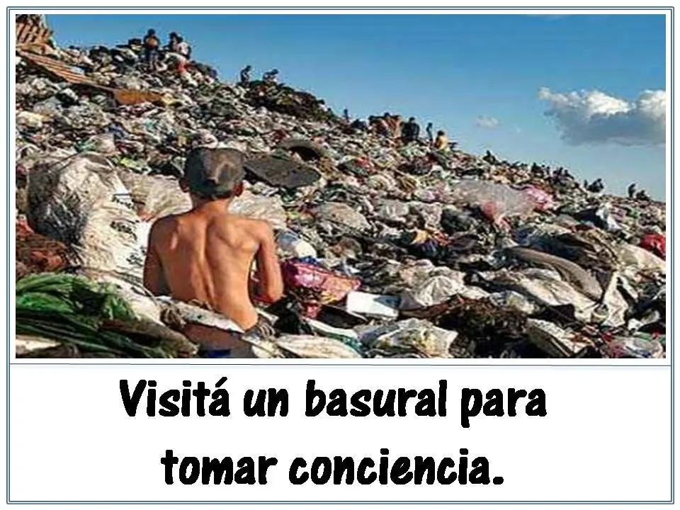 tips