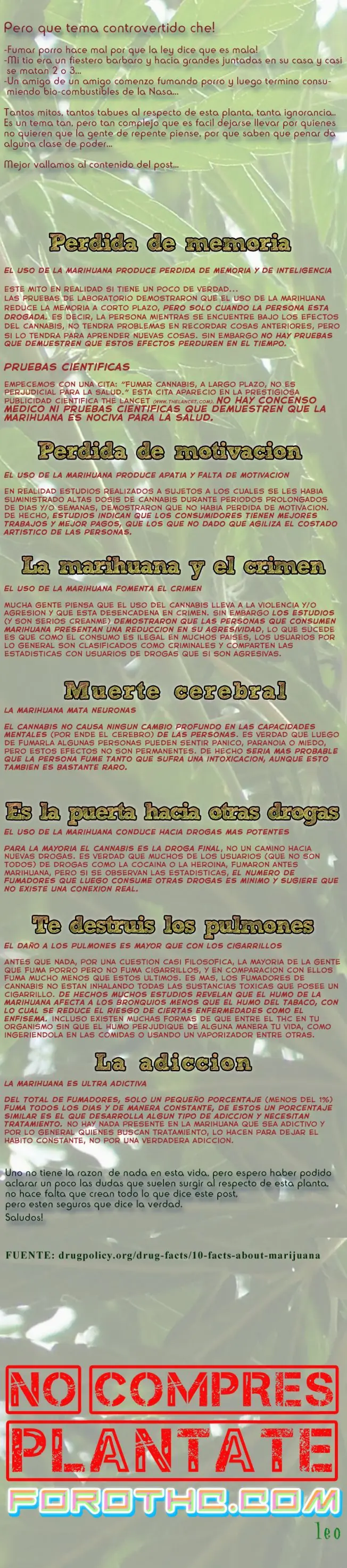 Marihuana: 7 mitos desmentidos