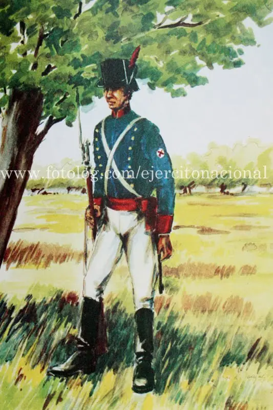 ejercito argentino