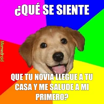perros