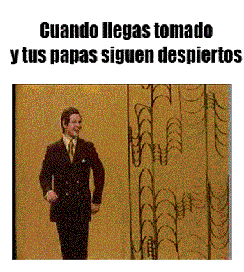 gatos