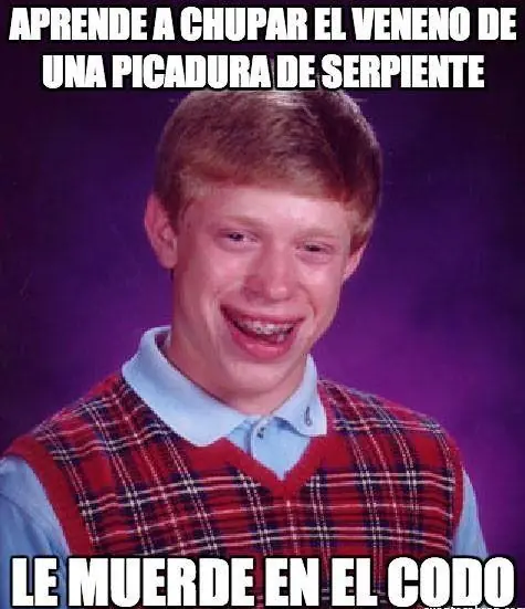 perros
