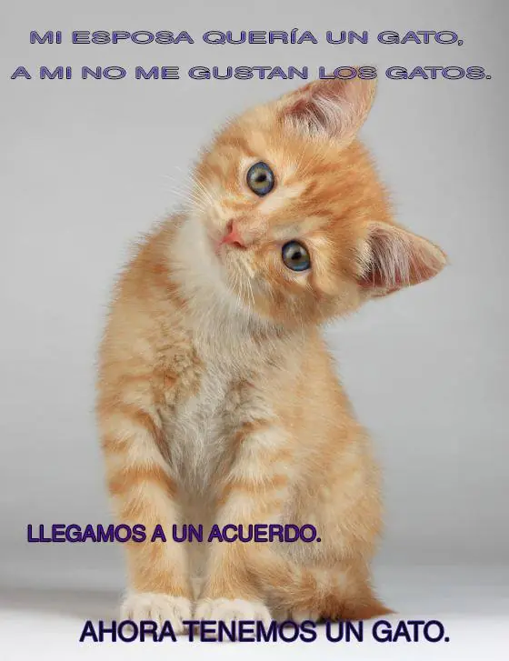 divertidas