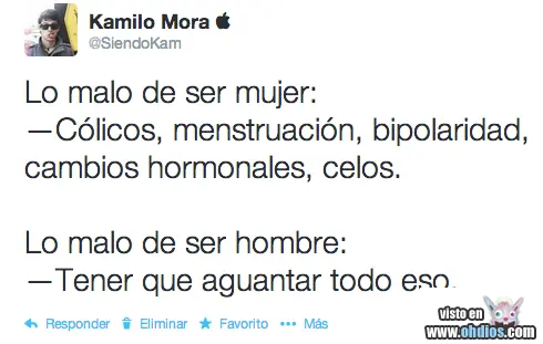 gatos