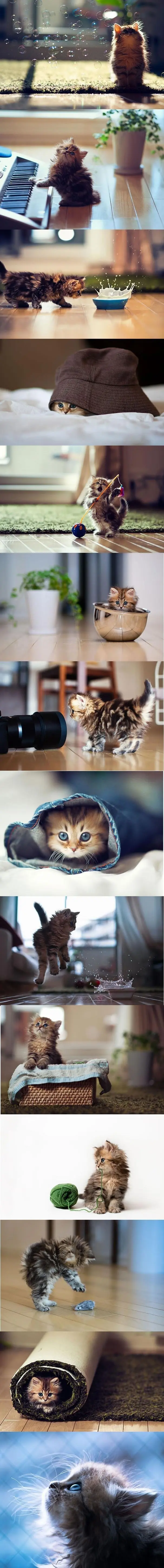 divertidas