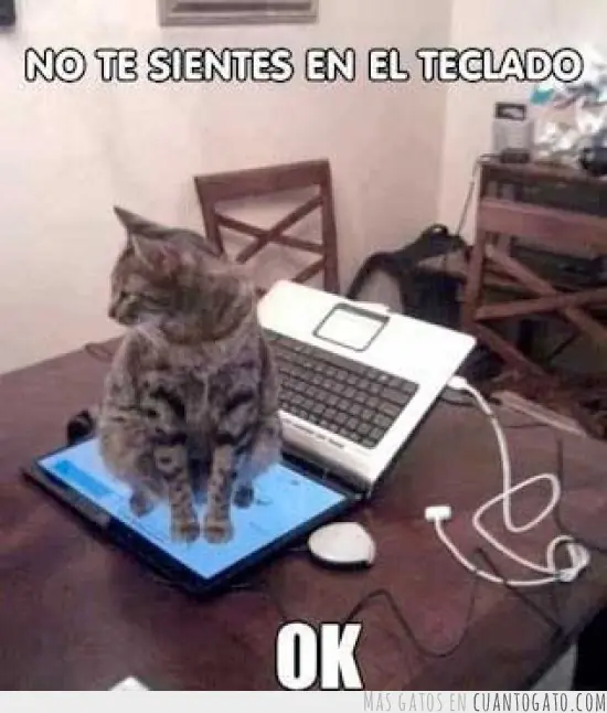 +1 por cada risa. Parte 01