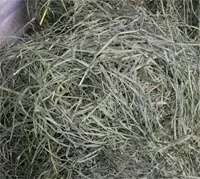 cuidalos
