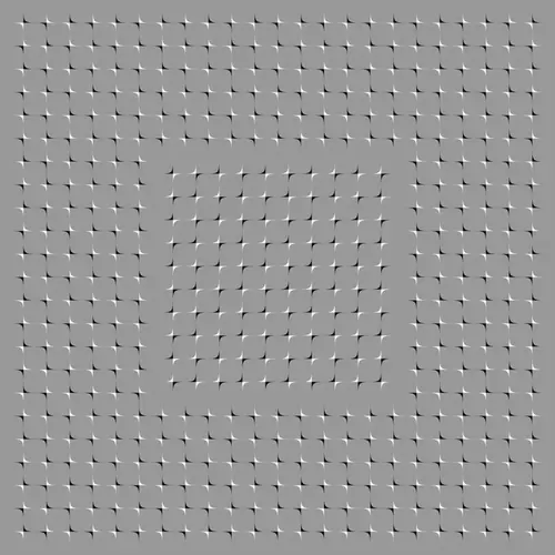 ilusiones opticas parte 1. ilusiones opticas parte 1.