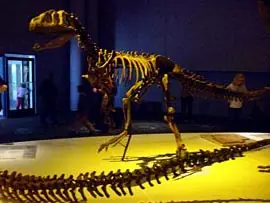 Dinosaurios Argentinos