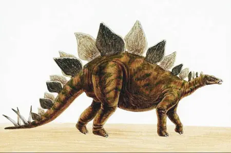 Dinosaurios y el hombre, ¿convivieron?