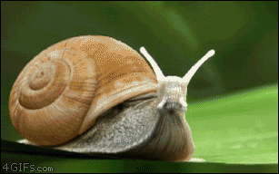 Algunos GIFs graciosos, Nunca vistos en TARINGA :D