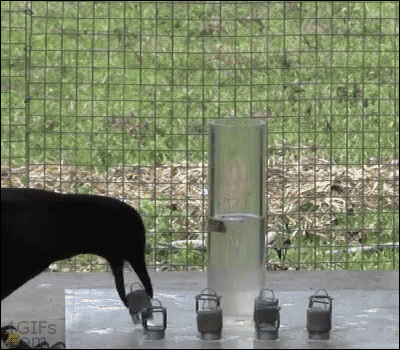 gifs animados