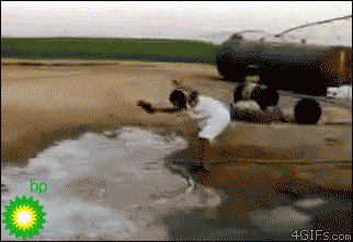 Algunos GIFs graciosos, Nunca vistos en TARINGA :D