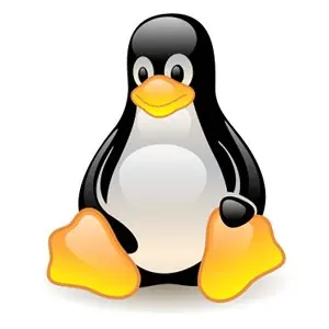 Zimbra en Ubuntu Server 8.04 LTS
