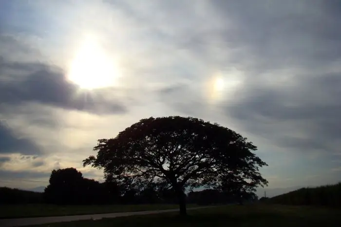 A finales de este año podriamos ver un "segundo sol&qu