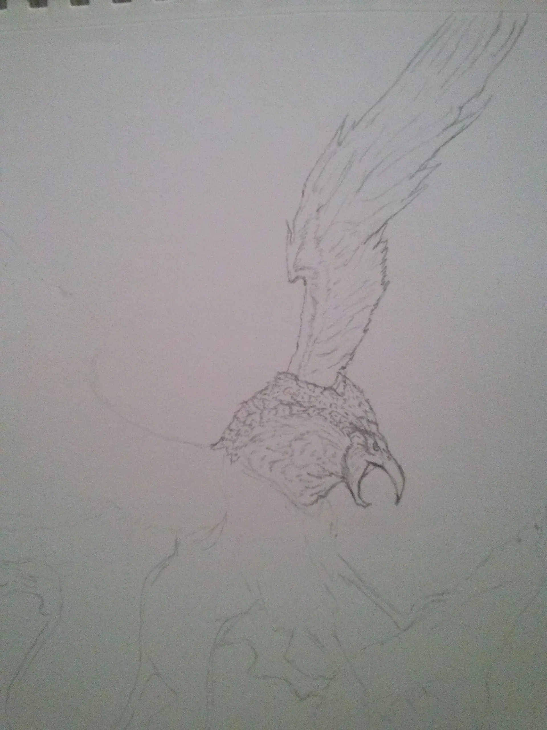Dibujo