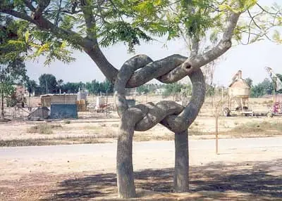 imagenes