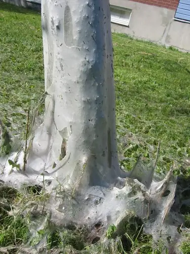 esculturas