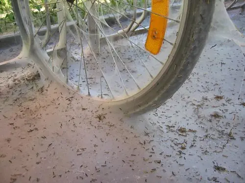 esculturas
