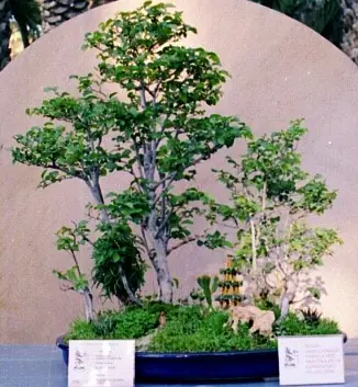 naturaleza
