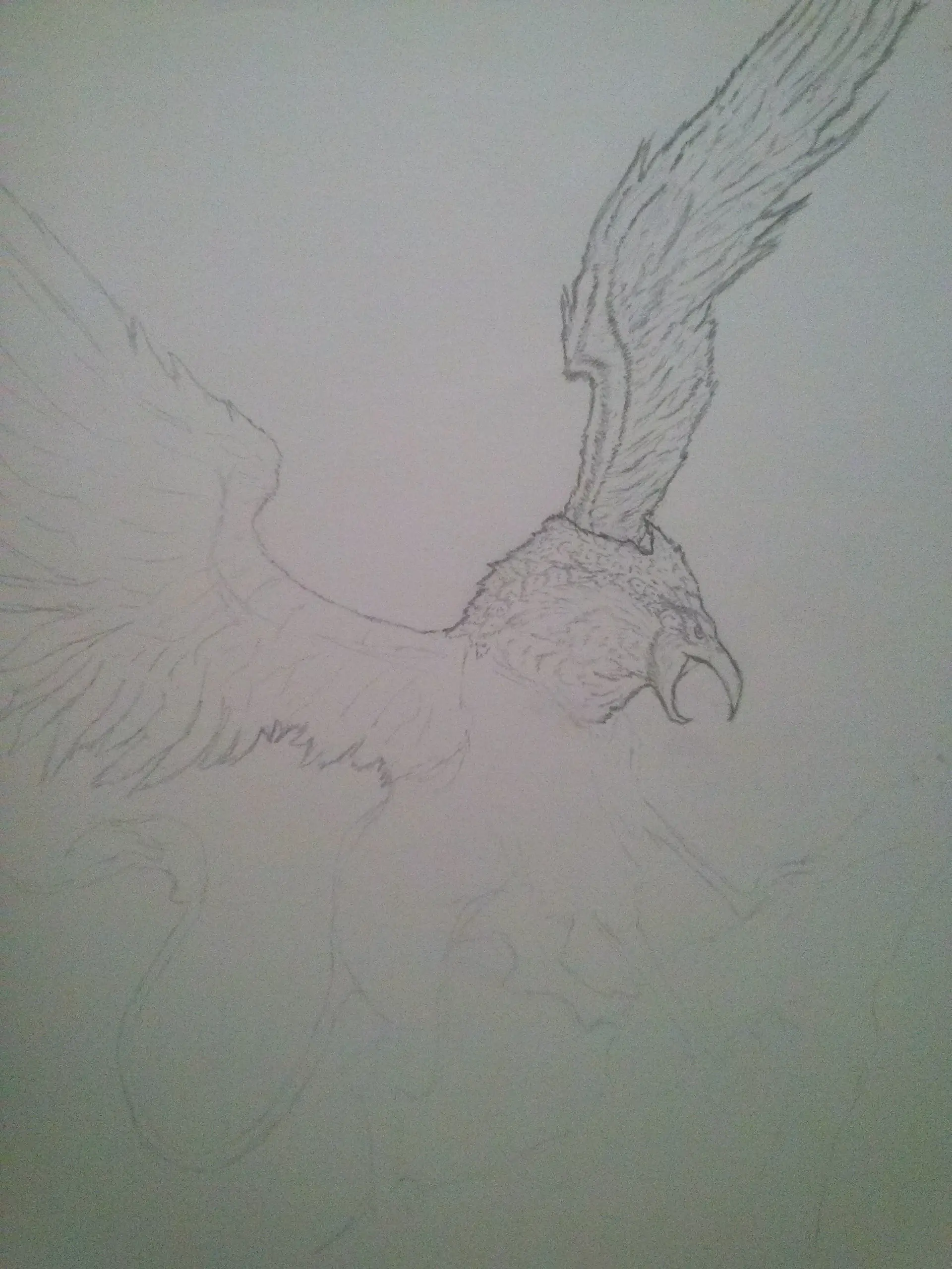 Dibujo