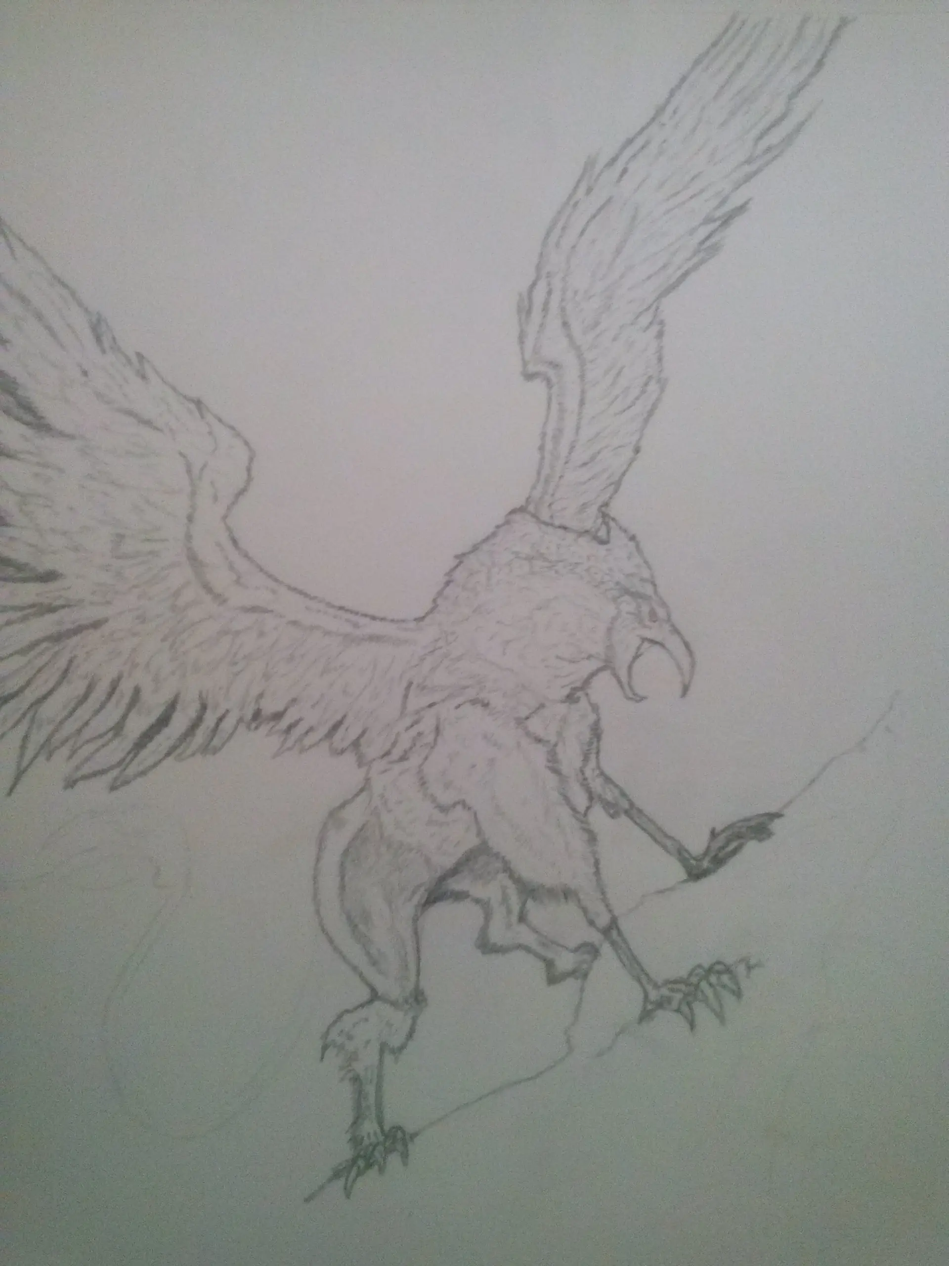 Dibujo