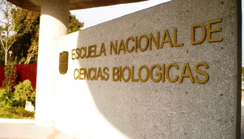 escuela
