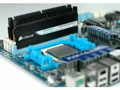 Ram
