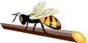 La Abeja Aragana -Horacio Quiroga