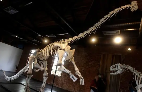 Descubren fósiles de dinosaurios en Brasil