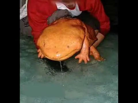 fenómenos de la naturaleza