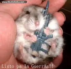 imagenes