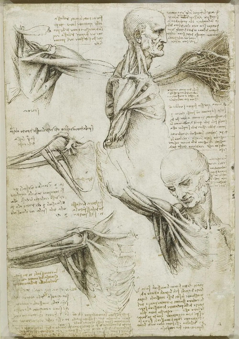 zurdos famosos