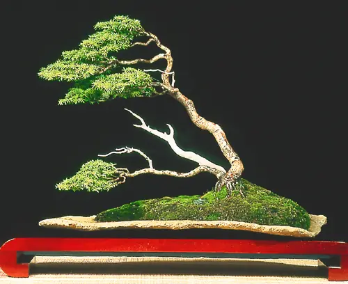 arboles