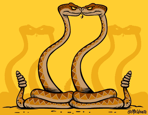 Curiosos