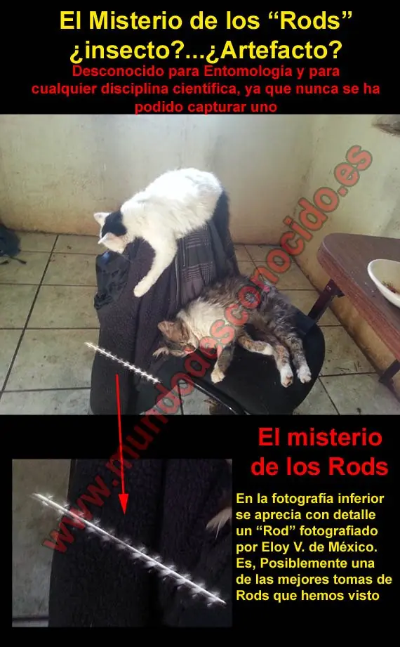 objeto alargado